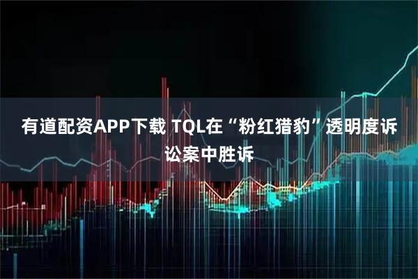 有道配资APP下载 TQL在“粉红猎豹”透明度诉讼案中胜诉